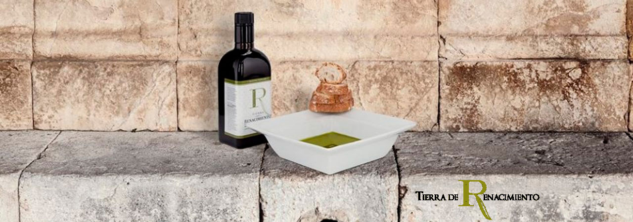 Tierra de Renacimiento