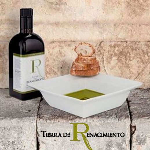 Cata Aceite de Oliva Tierra de Renacimiento y degustación de productos típicos en Baeza