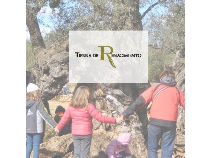 Visita Olivar Tierra de Renacimiento en Baeza