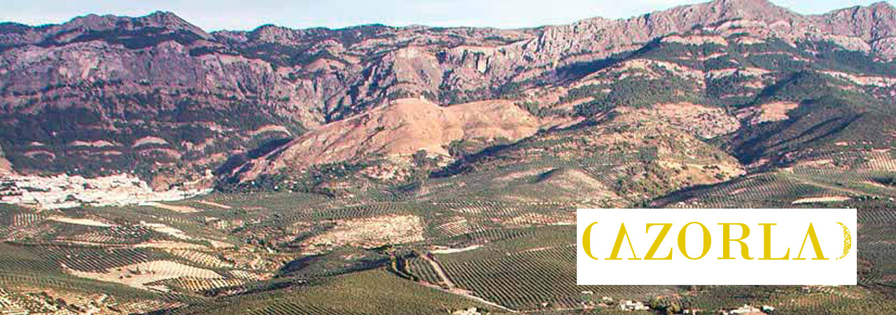 Aceites Cazorla