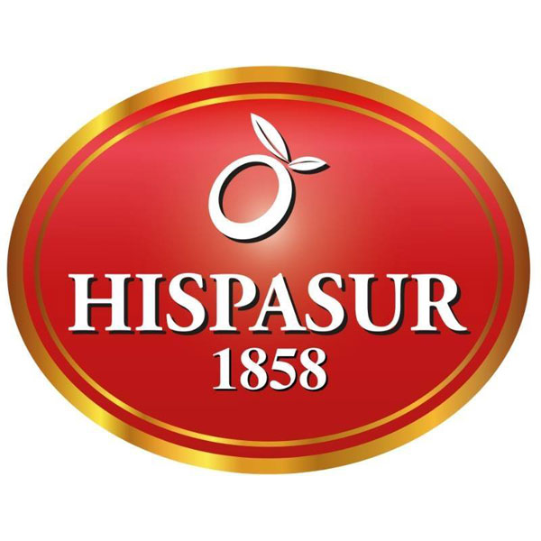 Hispasur